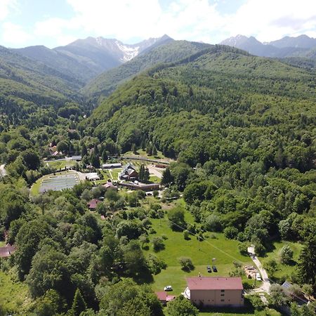 Pensiunea Elena Vistisoara Exterior foto