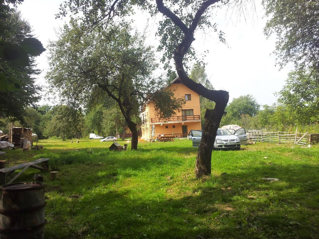 Pensiunea Elena Vistisoara Exterior foto