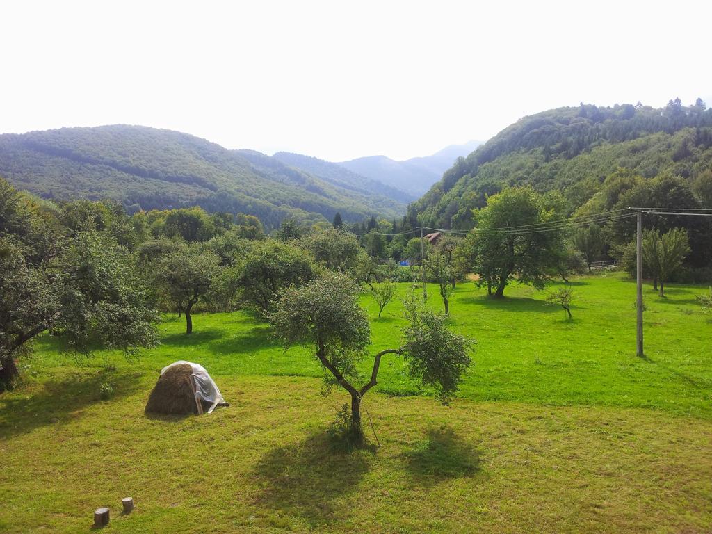 Pensiunea Elena Vistisoara Habitación foto