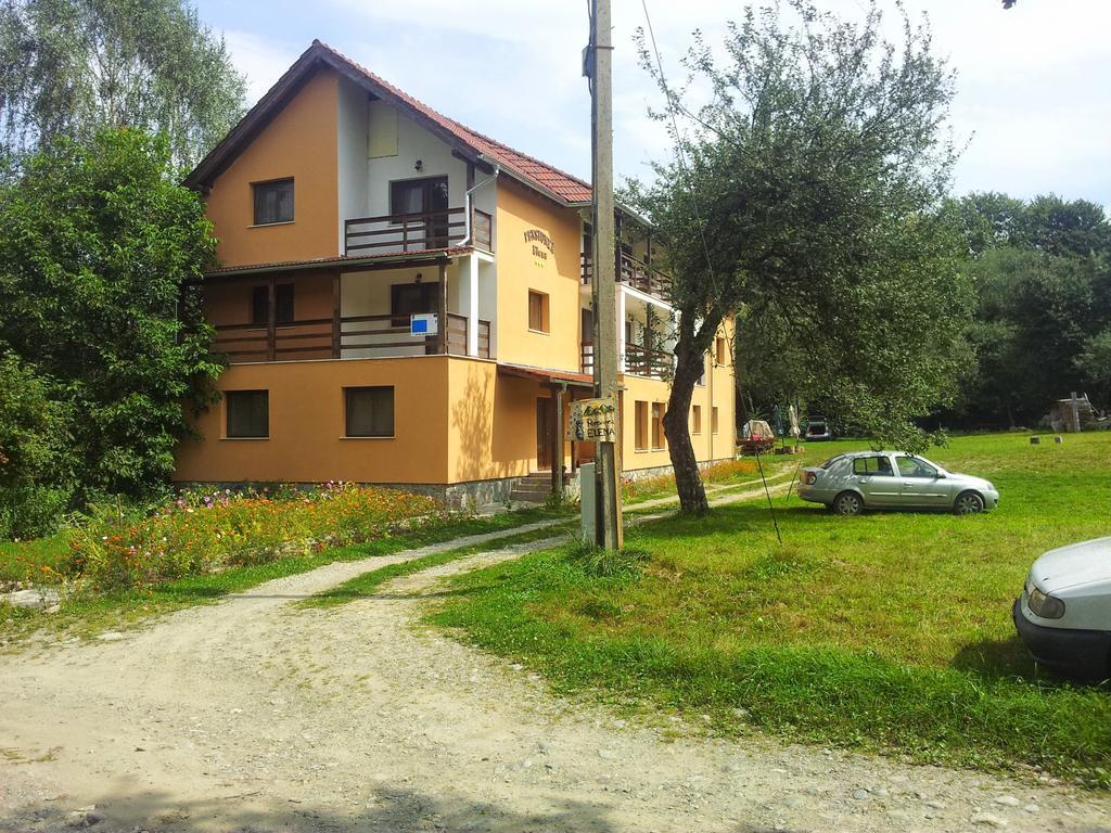 Pensiunea Elena Vistisoara Habitación foto