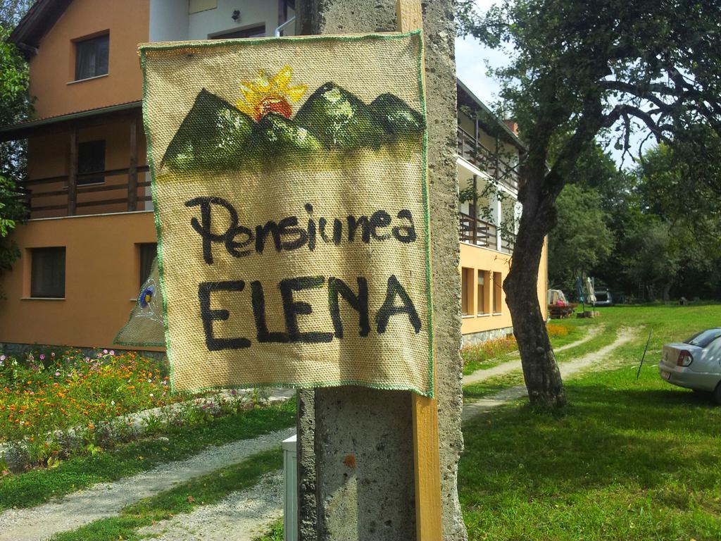 Pensiunea Elena Vistisoara Habitación foto