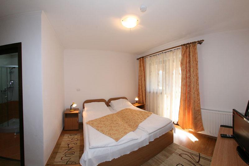 Pensiunea Elena Vistisoara Habitación foto
