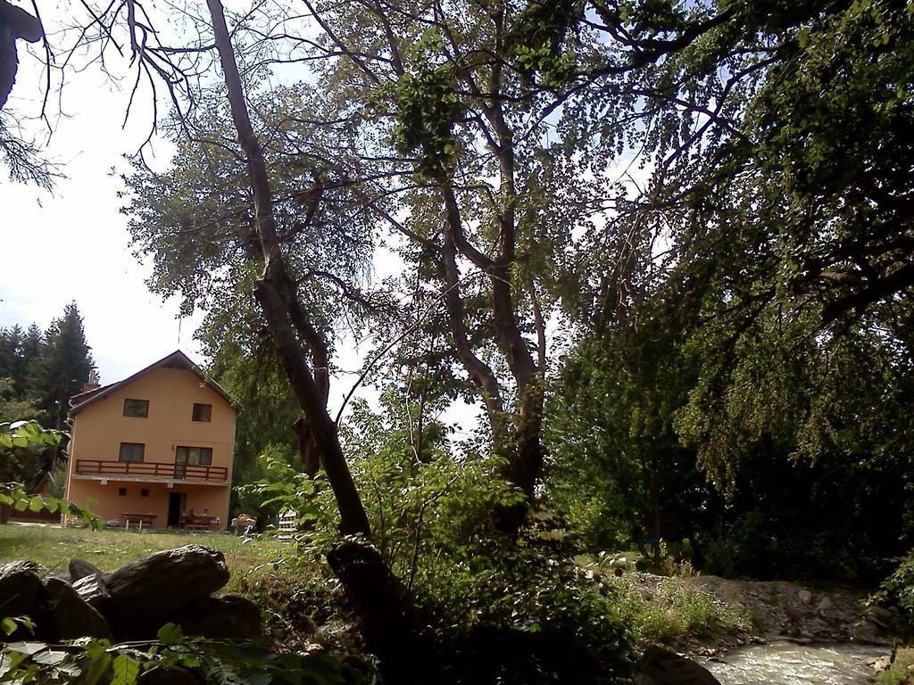 Pensiunea Elena Vistisoara Exterior foto