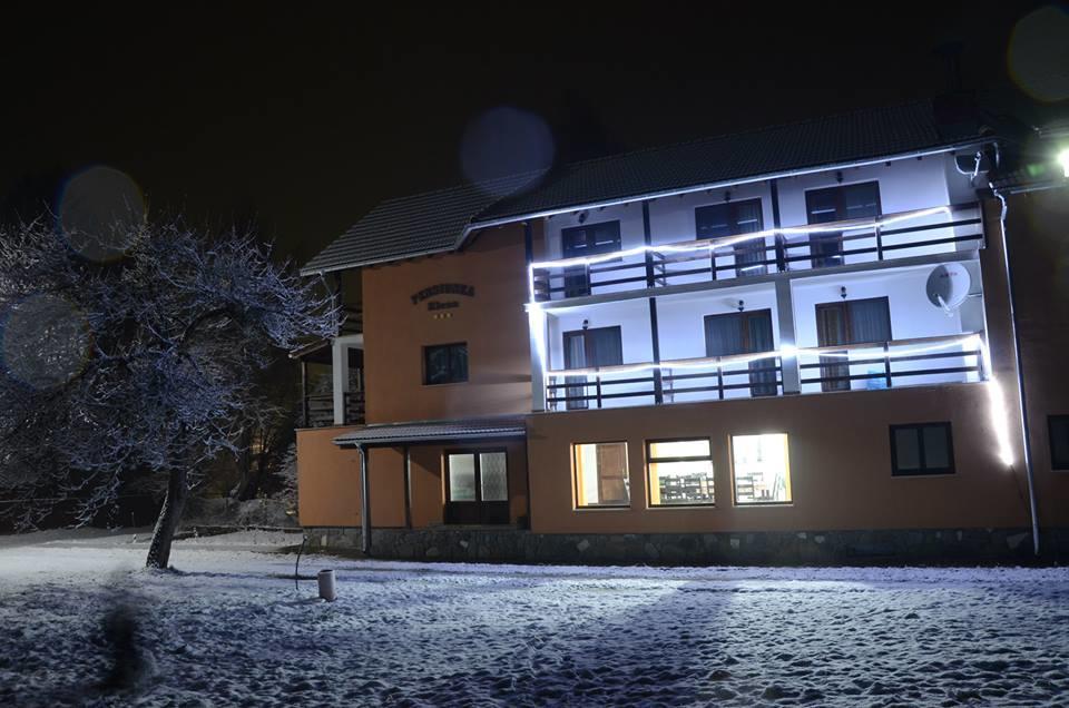 Pensiunea Elena Vistisoara Exterior foto