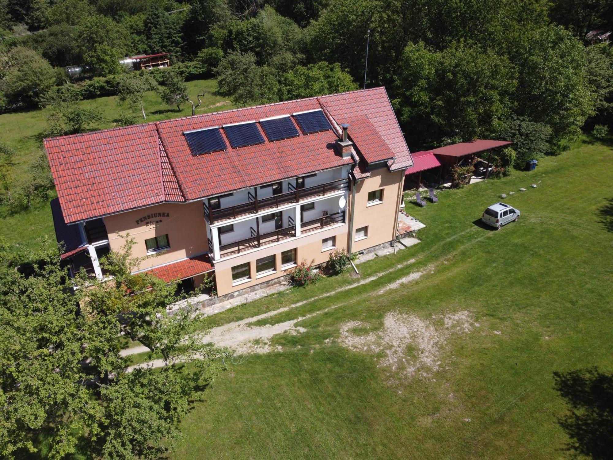 Pensiunea Elena Vistisoara Exterior foto