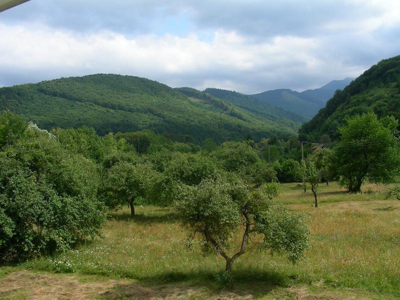 Pensiunea Elena Vistisoara Exterior foto