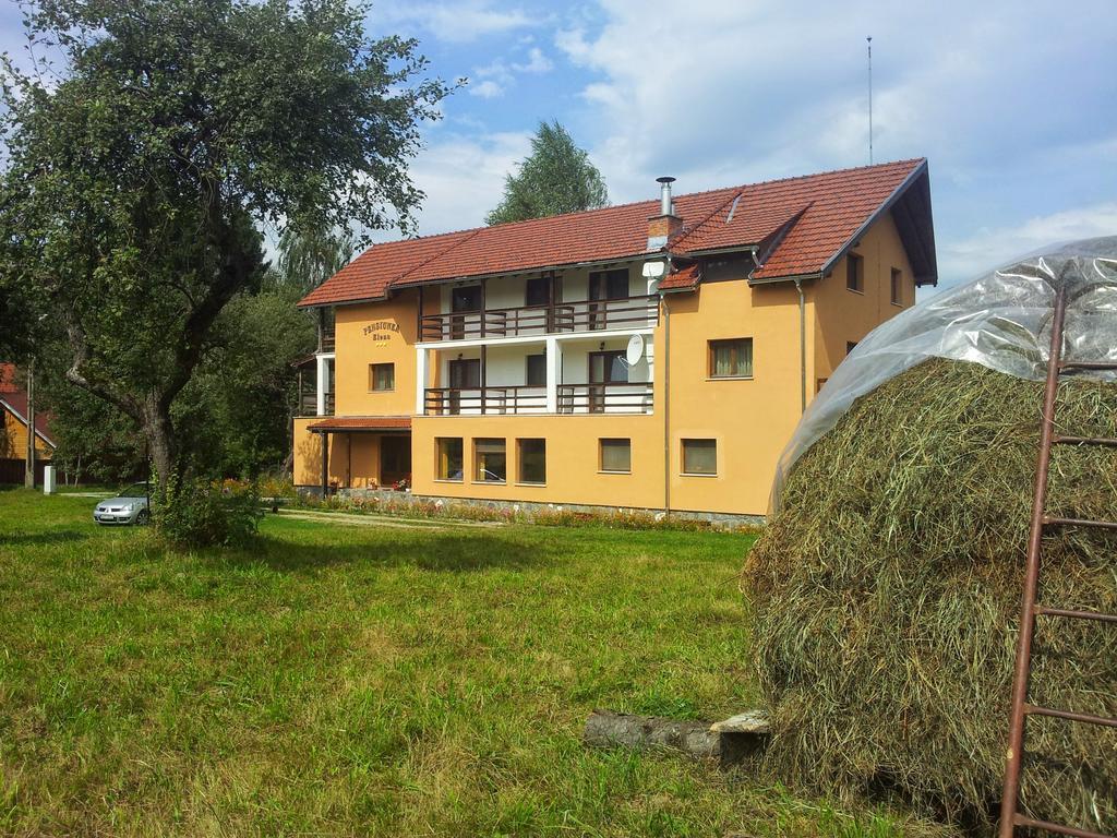 Pensiunea Elena Vistisoara Exterior foto