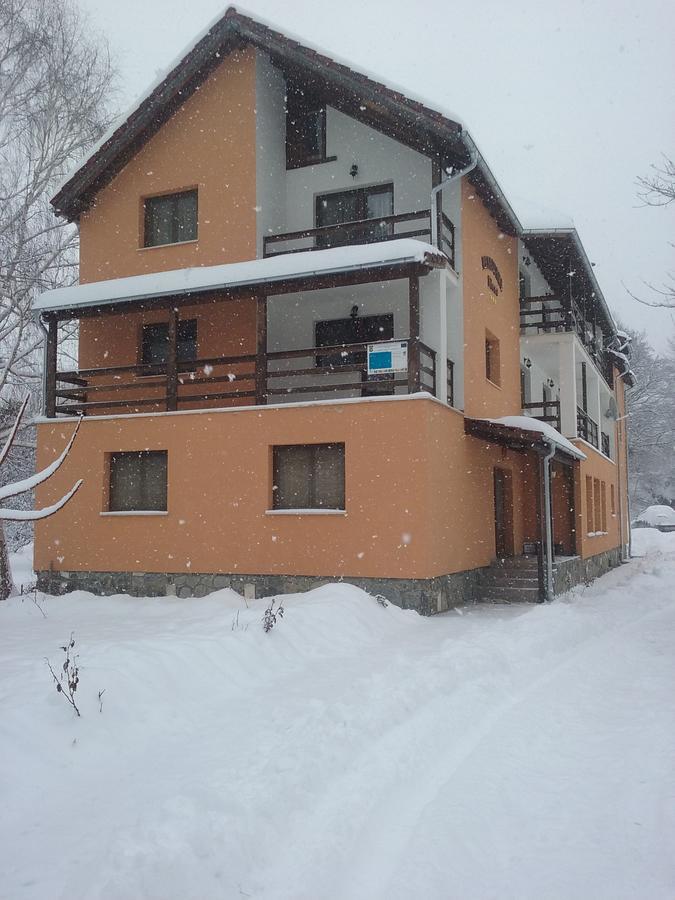 Pensiunea Elena Vistisoara Exterior foto