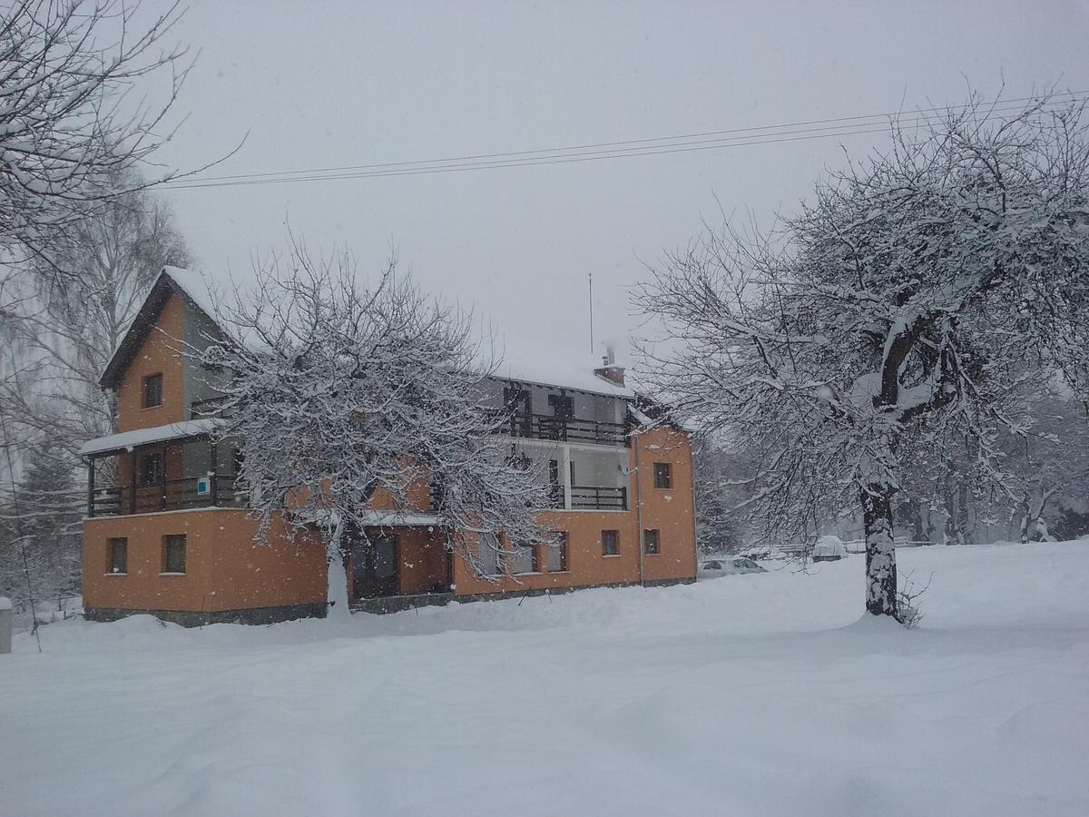 Pensiunea Elena Vistisoara Exterior foto