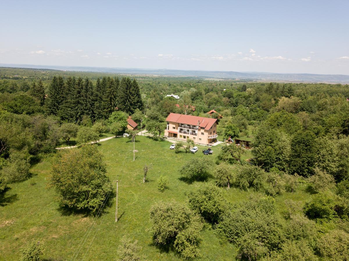 Pensiunea Elena Vistisoara Exterior foto