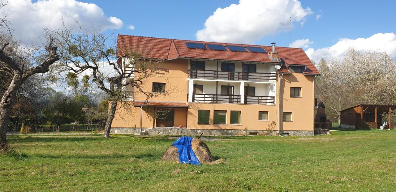 Pensiunea Elena Vistisoara Exterior foto